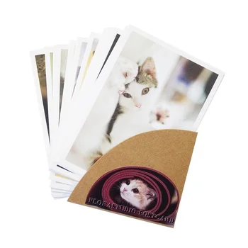 4sets/muito Linda Gatos Bonitos cartões-Postais do Grupo da Série Cat Cartão Postal de Presente