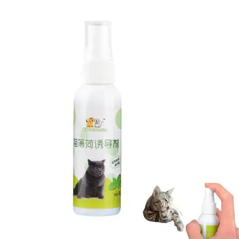 Gato Catnip Spray De Ingredientes Saudáveis Catnip Spray Para Filhotes De Gatos Isca Fácil Para Usar O Seguro Para Animais De Estimação Presentes Suprimentos Para Animais De Estimação